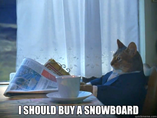 i should buy a snowboard - The One Percent Cat
