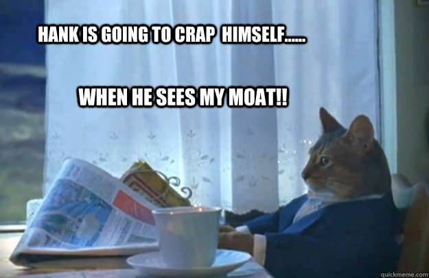 hank is going to crap himself when he sees my moat - Sophisticated Cat