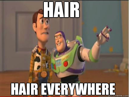 hair hair everywhere - woody and buzz