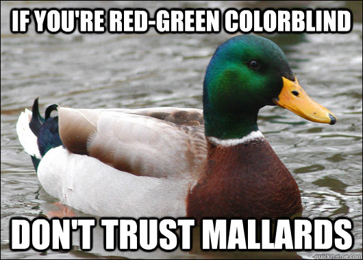 if youre redgreen colorblind dont trust mallards - Actual Advice Mallard