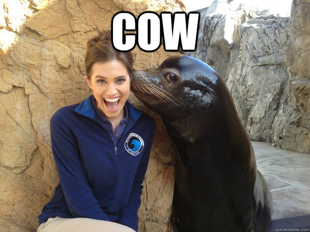cow - Crazy Secret