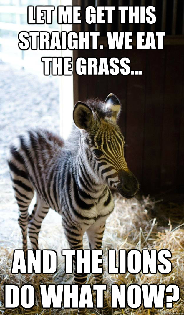let me get this straight we eat the grass and the lions - Lesson Zebra