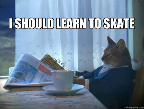 i should learn to skate - The One Percent Cat