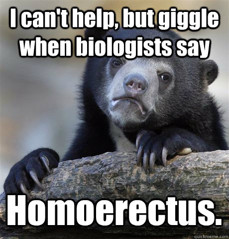 i cant help but giggle when biologists say homoerectus - Confession Bear
