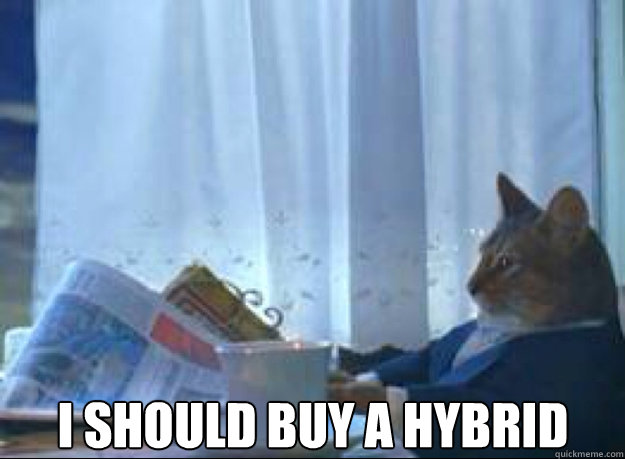 i should buy a hybrid - I should buy a boat cat