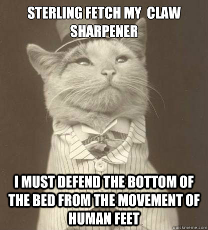 sterling fetch my claw sharpener i must defend the bottom o - Aristocat