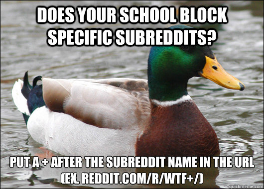 does your school block specific subreddits put a after th - Actual Advice Mallard