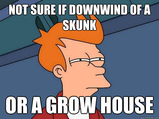 not sure if downwind of a skunk or a grow house - Futurama Fry