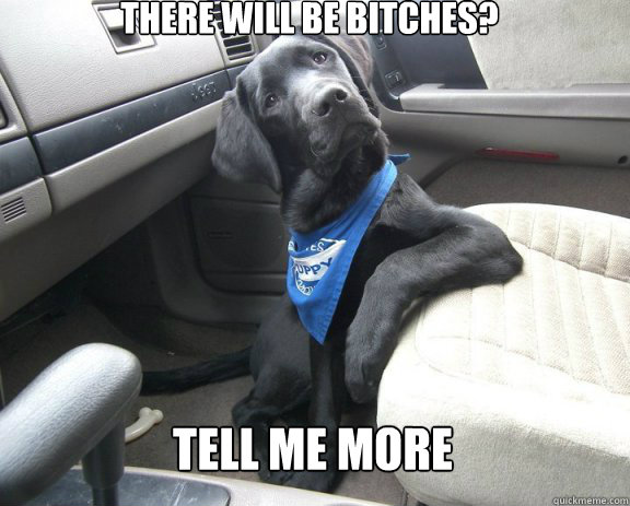 there will be bitches tell me more - Easily Convinced Dog