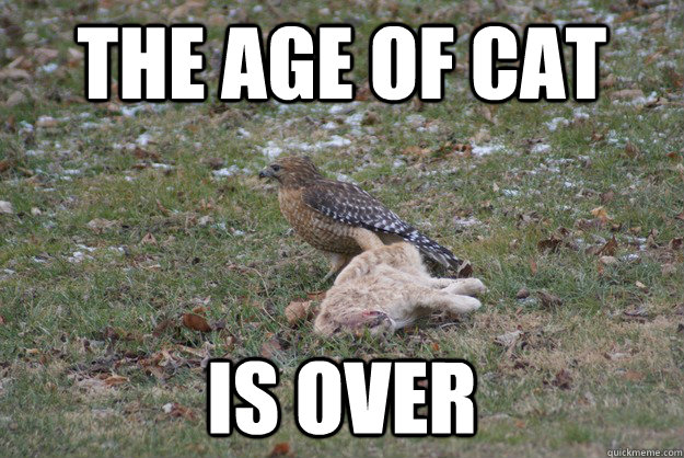 the age of cat is over -