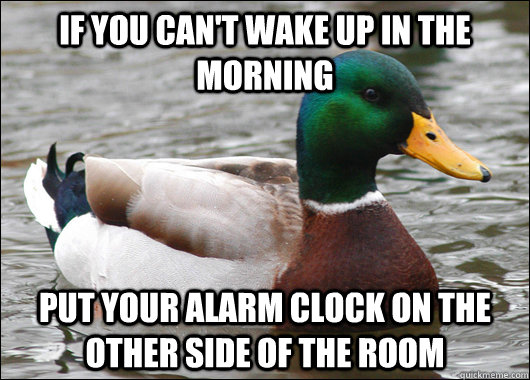 if you cant wake up in the morning put your alarm clock on - Actual Advice Mallard