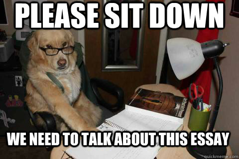 please sit down we need to talk about this essay - Bitch English Teacher