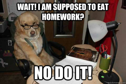 wait i am supposed to eat homework no do it -