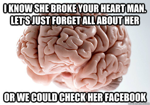 i know she broke your heart man lets just forget all about - Scumbag Brain