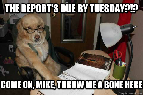 the reports due by tuesday come on mike throw me a bon -