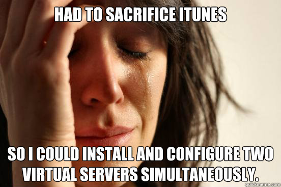 had to sacrifice itunes so i could install and configure two - First World Problems