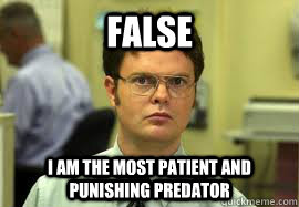 false i am the most patient and punishing predator - Dwight False