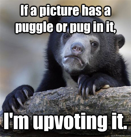 if a picture has a puggle or pug in it im upvoting it - Confession Bear