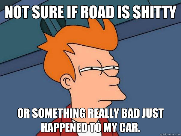 not sure if road is shitty or something really bad just happ - Futurama Fry