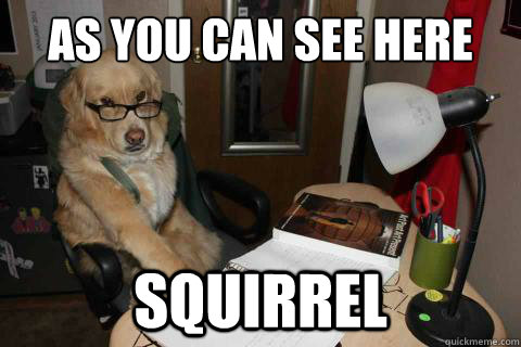 as you can see here squirrel - Financial Advice Dog