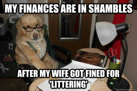 my finances are in shambles after my wife got fined for lit -