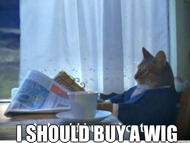 i should buy a wig - newspaper cat