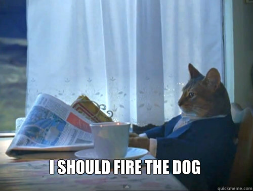 i should fire the dog - The One Percent Cat