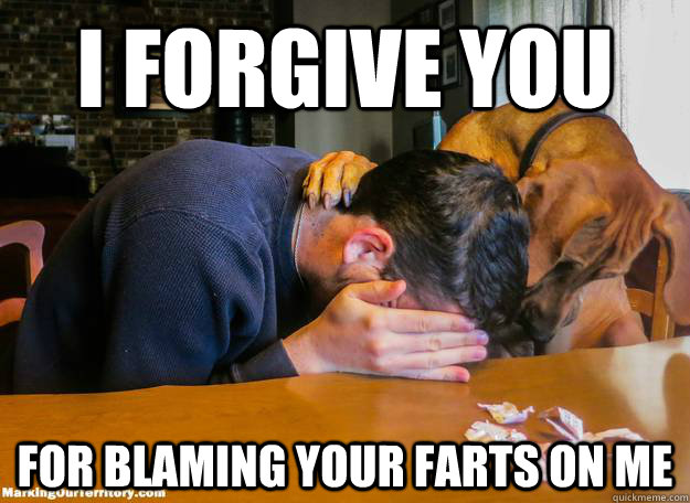 i forgive you for blaming your farts on me - Consolation Dog