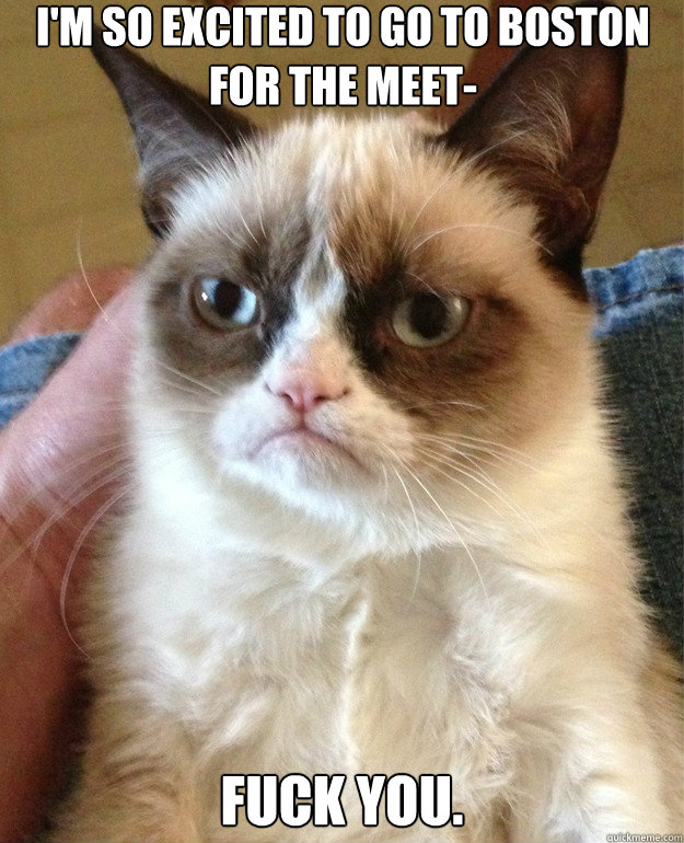 im so excited to go to boston for the meet fuck you - Grumpy Cat