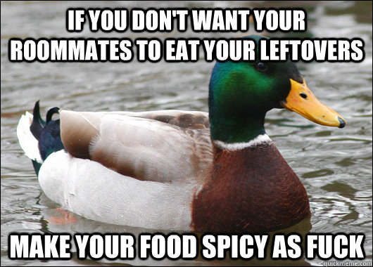 if you dont want your roommates to eat your leftovers make - Actual Advice Mallard