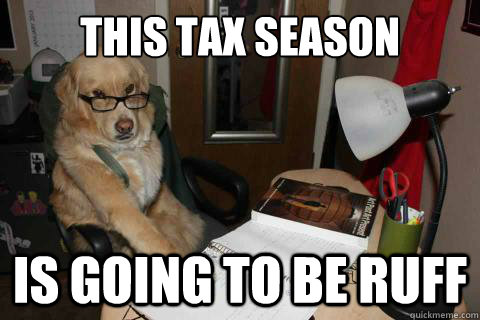 this tax season is going to be ruff - Financial Advice Dog