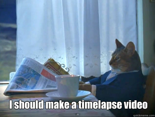 i should make a timelapse video - The One Percent Cat
