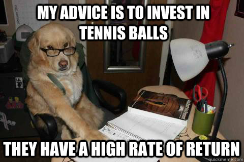 my advice is to invest in tennis balls they have a high rate - Financial Advice Dog