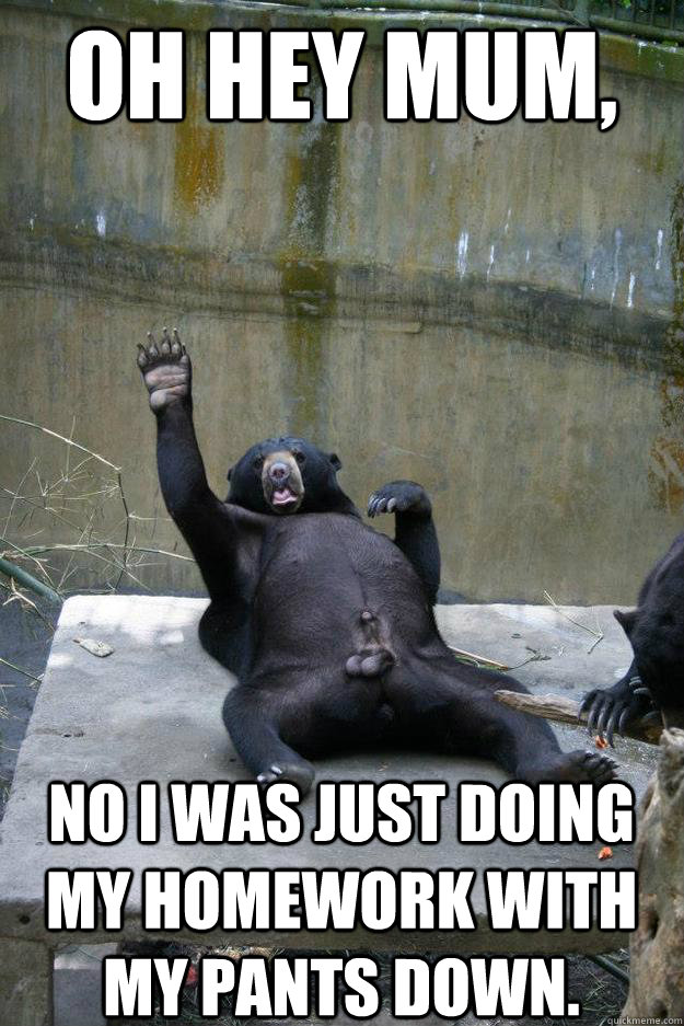 oh hey mum no i was just doing my homework with my pants do - Ballsy Bear
