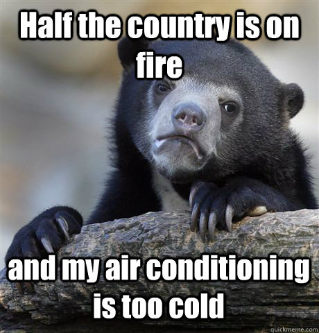 half the country is on fire and my air conditioning is too c - Confession Bear