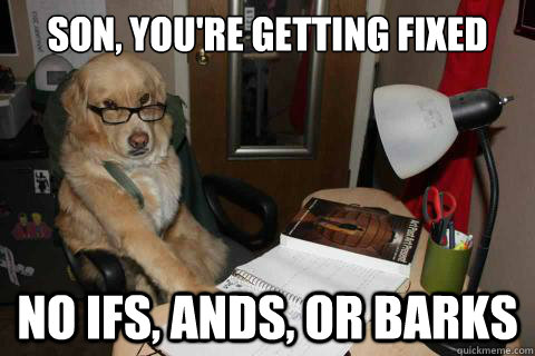 son youre getting fixed today no ifs ands or barks - Disapproving Dad Dog