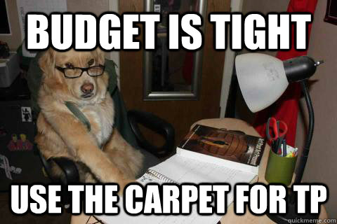 budget is tight use the carpet for tp - Financial Advice Dog