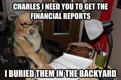 charles i need you to get the financial reports i buried the - Financial Advice Dog