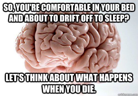 so youre comfortable in your bed and about to drift off to - Scumbag Brain