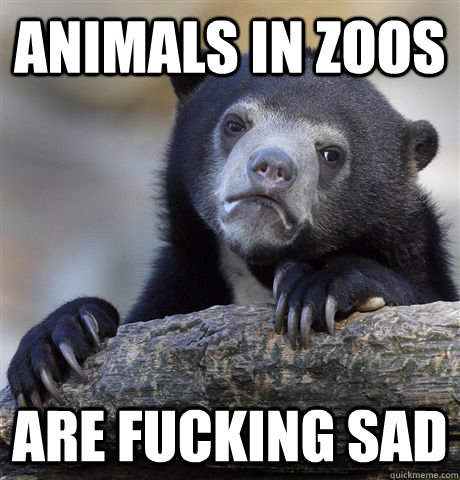 animals in zoos are fucking sad - Confession Bear