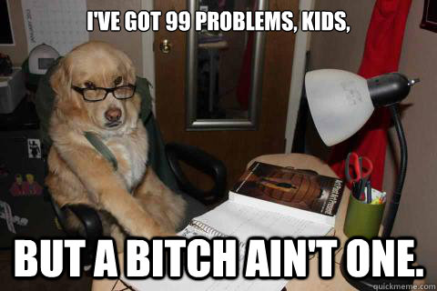 ive got 99 problems kids but a bitch aint one - Disapproving Dad Dog