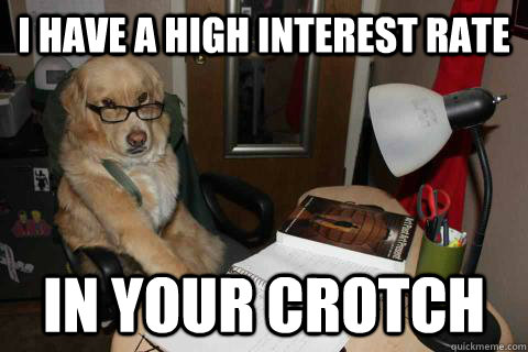 i have a high interest rate in your crotch - Financial Advice Dog