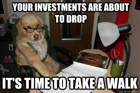 your investments are about to drop its time to take a walk - Financial Advice Dog