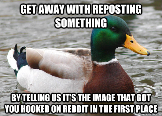 get away with reposting something by telling us its the ima - Actual Advice Mallard