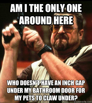 am i the only one around here who doesnt have an inch gap u - Walter Sobchak