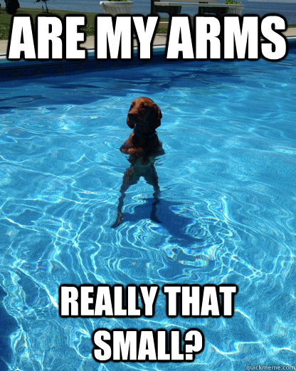 are my arms really that small -