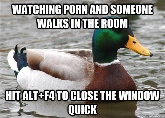 watching porn and someone walks in the room hit altf4 to cl - Actual Advice Mallard