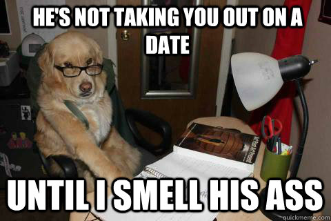 hes not taking you out on a date until i smell his ass - Financial Advice Dog