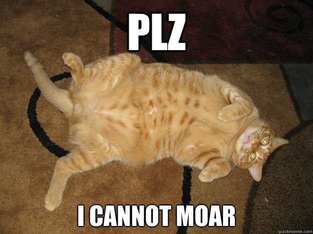 plz i cannot moar - cnntmr