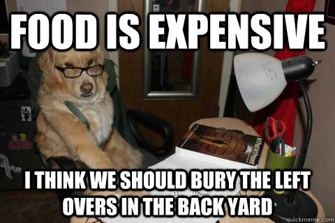 food is expensive i think we should bury the left overs in t - Financial Advice Dog